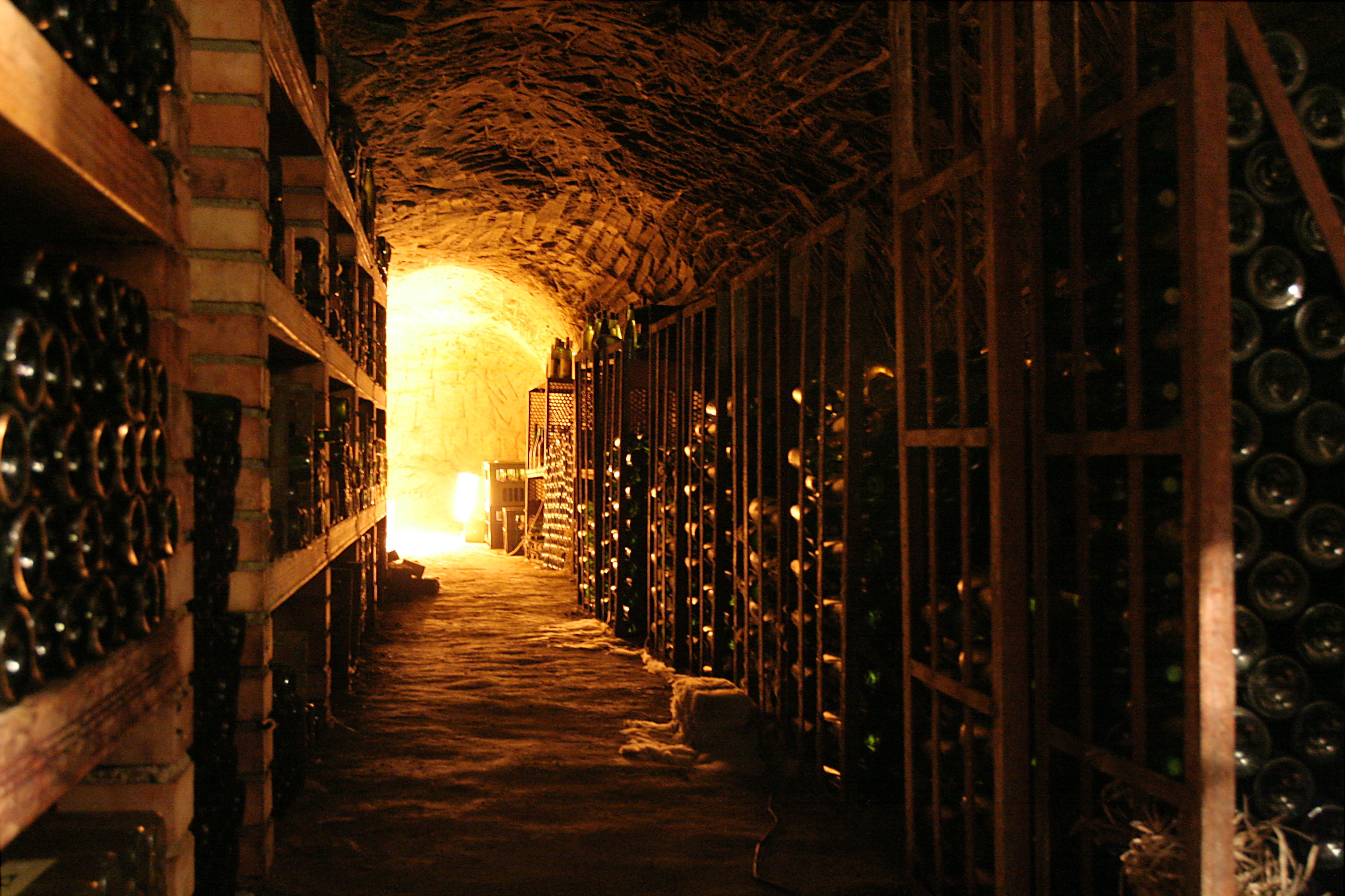 Bottles resting in a dark wine cellar